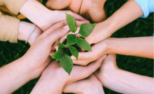 2/4 profile Human Design meaning