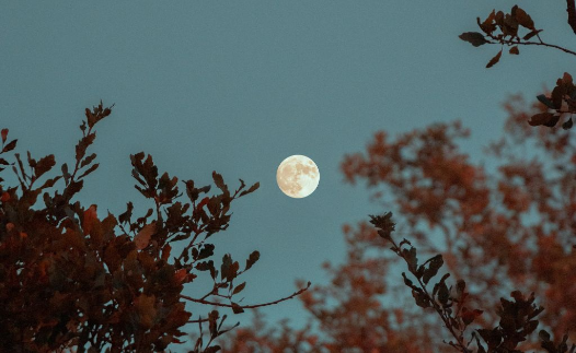 How to Use Human Design to Set 2026 Intentions 1 intentions human design