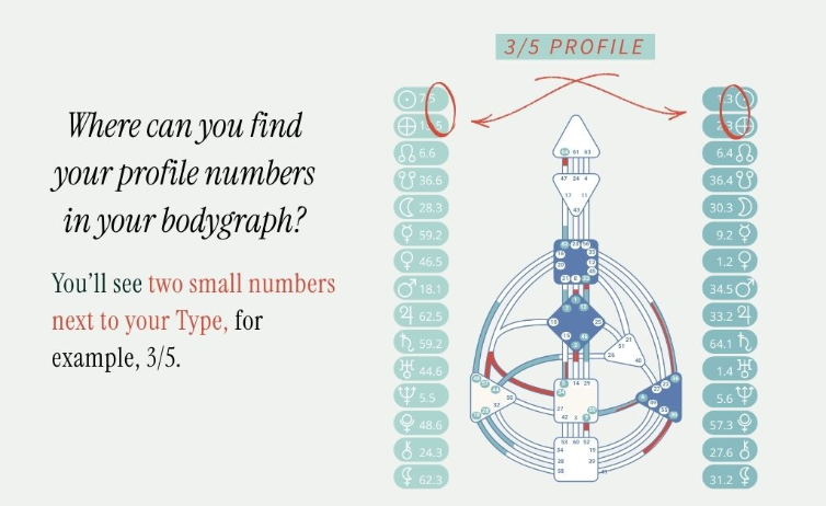 Human Design Profiles: Your Unique Life Role 1 Human design profiles explained in your bodygraph